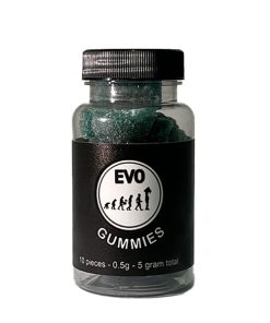 Evo Blueberry Mushroom Gummy – 5g