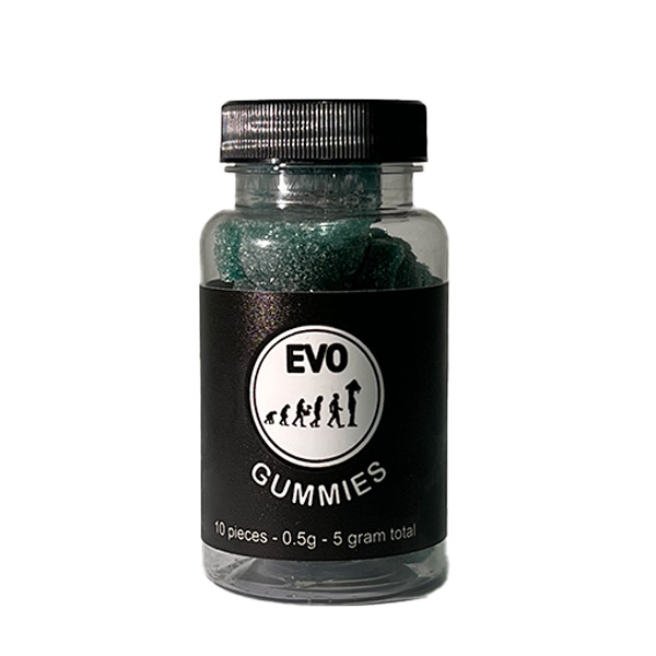 Evo Blueberry Mushroom Gummy – 5g