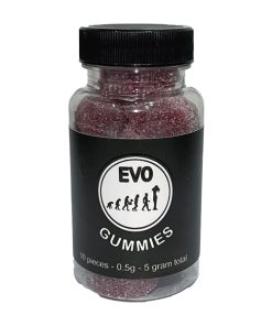 Evo Cherry Mushroom Gummy – 5g